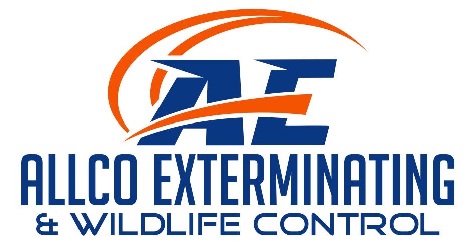 Avatar for Allco Exterminating & Wildlife